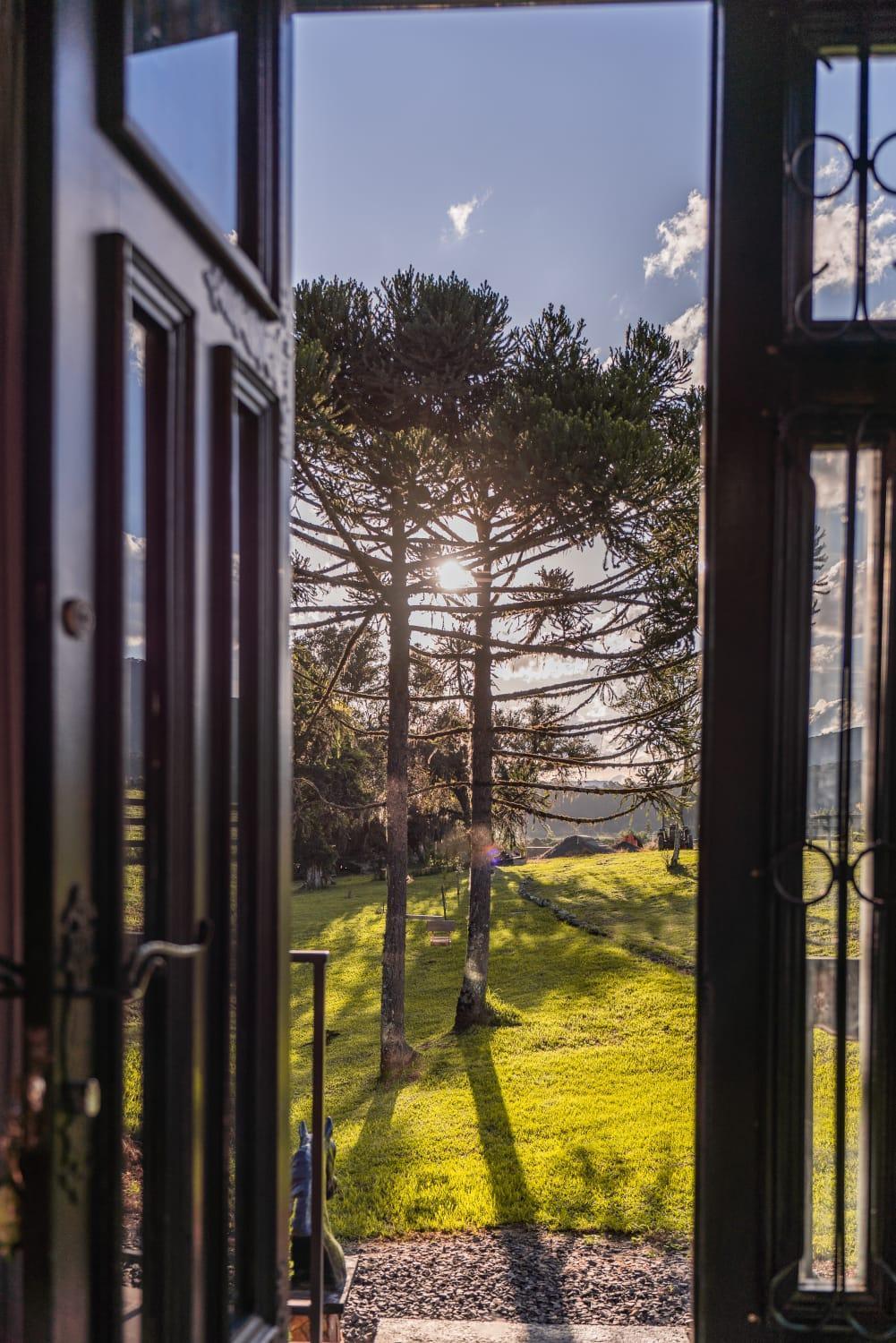 Cabana Horses La Contemporanea Proximo A Cidade E Vista Ponto Turistico Pedra Morro Do Campestre Urubici Eksteriør bilde